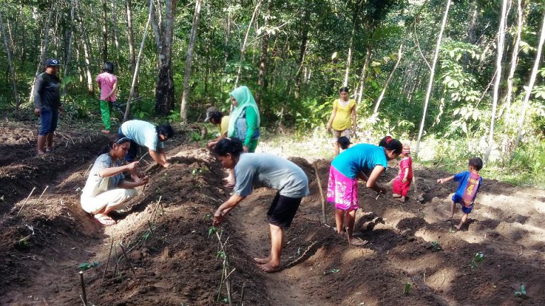 TESTIMONI INDRA KURNIATI, PENYULUH KEHUTANAN YANG MEMBINA KELOMPOK WANITA TANI HUTAN DI DAERAH PERBATASAN
