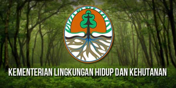 KLHK Hasilkan 6 Standar Kompetensi Selama Tahun 2017