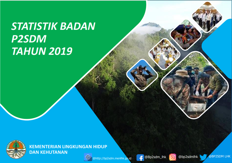 Statistik Badan P2SDM 2020